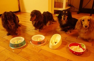 ���å����ե�ɣ�ɤ