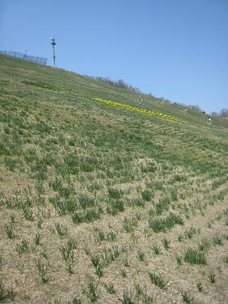 ���̤Υ�������