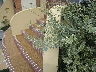 ����С��ץ�ڥå�