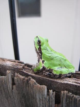 ���ޥ����롦��ͼ��