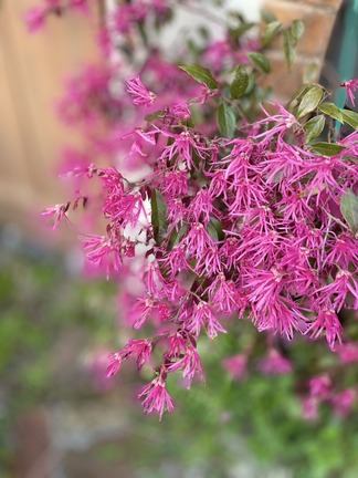 �ȥ���ޥ󥵥�