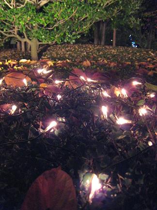 ����դ���Υ���ߥ͡������