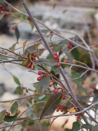 �ҥ᥵���󥫡�����ʥ���������