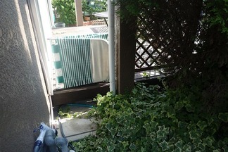 �ӥե����ֻܹ�����