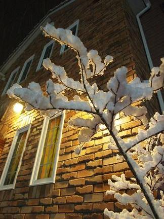 ���塼��٥�ⴧ��