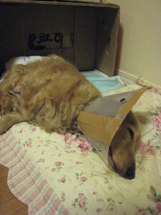 ���ä��ꡦ����