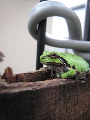 ���ޥ����롦����