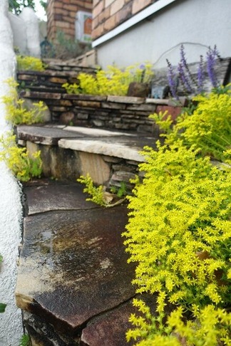 �ᥭ�����ޥ�ͥ󥰥�