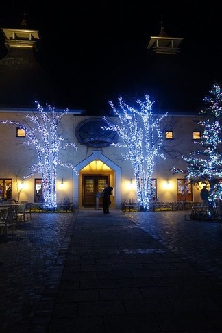 Ĺ��ӡ����