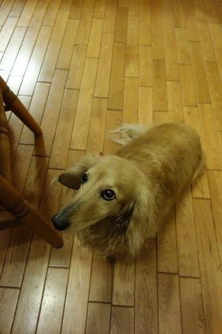 ­���˰���