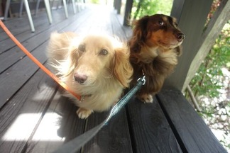 ���ե���������