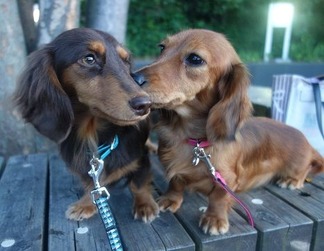 ���ȥ����