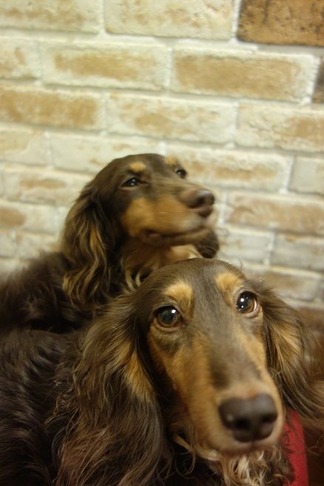 ���å����ե��