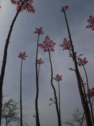 �������󡦥ե�ߥ�