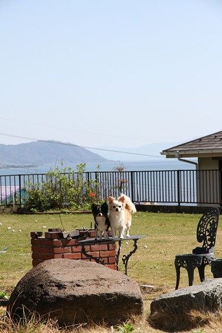 �����˥������