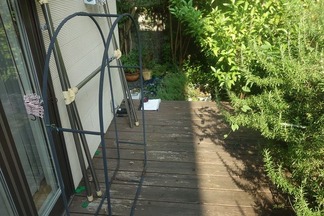 �ӥե����ֻܹ�����