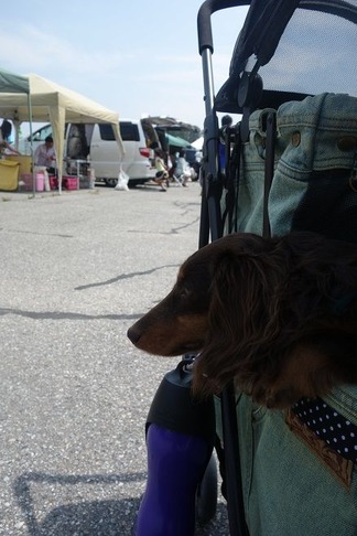 �ٻ��������