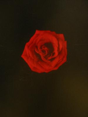 �����֤ʥХ�