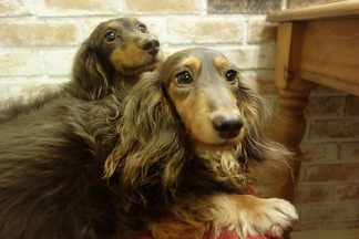 ���å����ե��