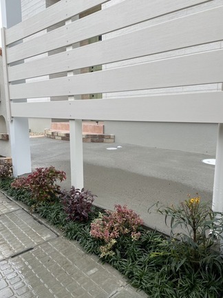 ����ե����å�