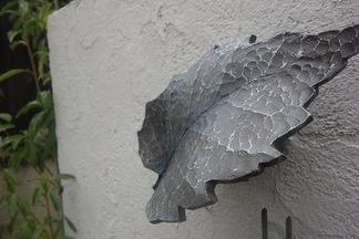 �꡼�ա��ԣ�����