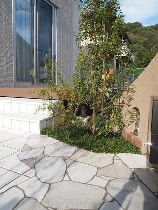 �������̤���³�����åɥǥå�