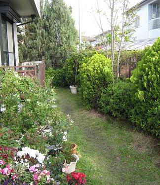 �ӥե����ֻܹ�����