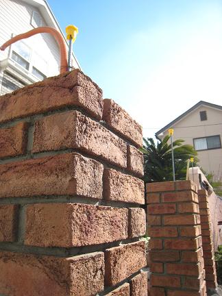 ��󥬳��졡��Ϣ