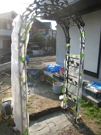 �ѥ��ǥ��ʥ����ǥ󥢡���