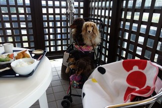 ���å��٥������ǥ�