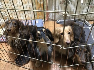 ���å����ե��