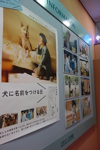 犬に名前をつける日
