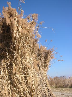 �襷���Ķ�