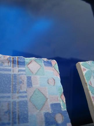 �֥롼�ο��������ޤ�