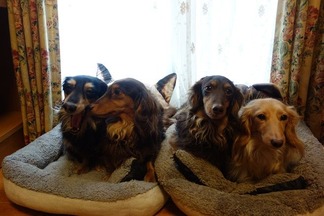 �������å����ե��