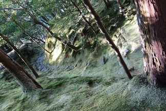 銀閣寺