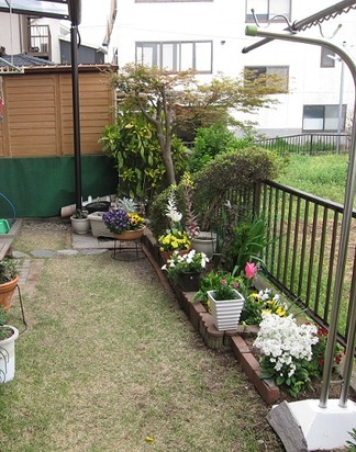 �ܹ����Τ����֥ӥե�����