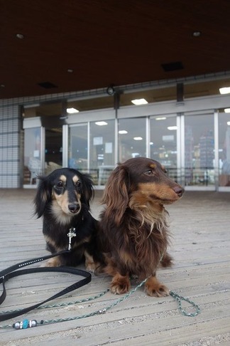 ƻ�αء����ʸ��綶��