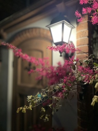 ����ʥ��塼��