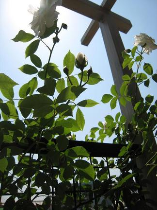 �ѡ����������֤Ĥ륢�����С�����