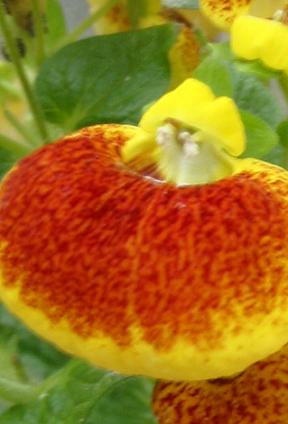 �����𡦡����å�