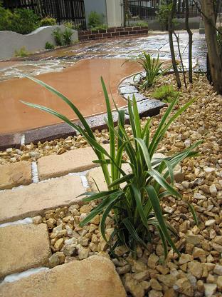 ��ʪ����