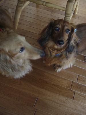 ���Ӥޤ�����