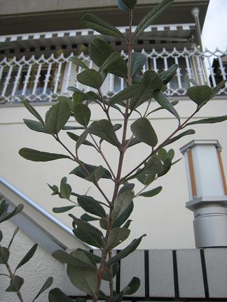 �ե������祢