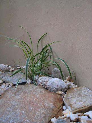 �������֥��