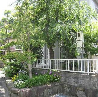 �ܹ����Τ����֥ӥե�����