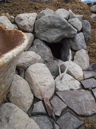 �ޥ��饤�Ȥ�����ƶ��