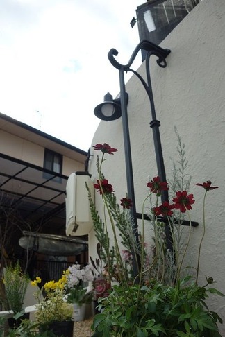 �����ɥե���