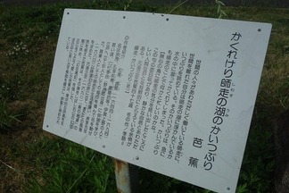 松尾芭蕉