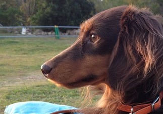 ���˥�إ���å����ե��